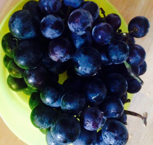 uva_fragola